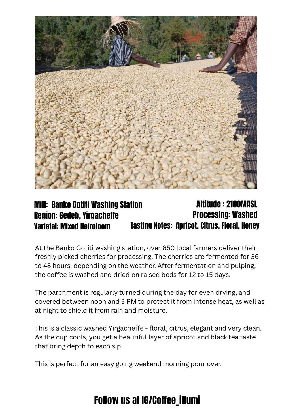 ETHIOPIA BANKO GOTITI